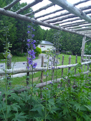 Mother Earth Studios