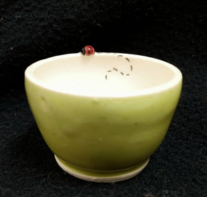 Bowl (Ladybug), mini, 1