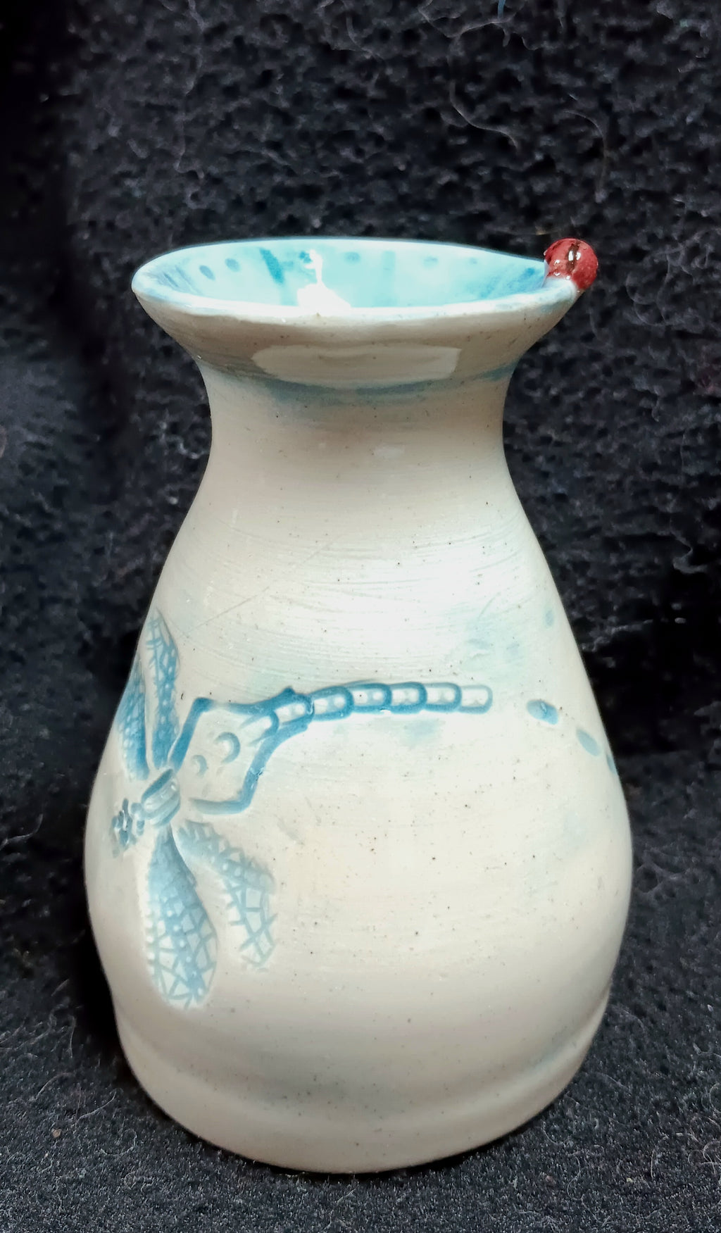 Vase, Dragonfly & Ladybug